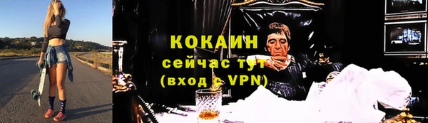 бошки Мегион