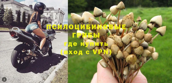 бошки Мегион