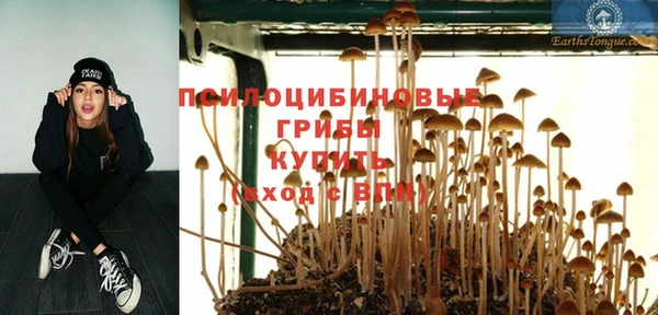 дживик Медвежьегорск